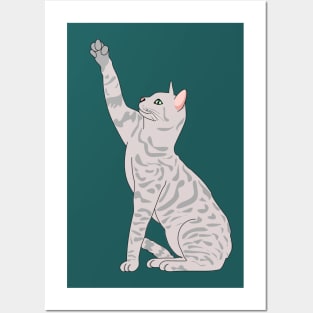 Cat Posters and Art